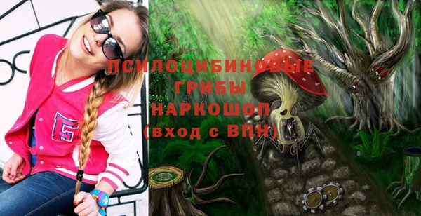 гидра Надым