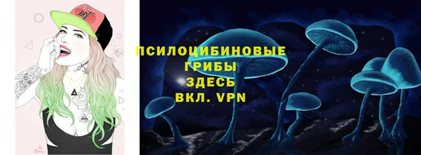 гидра Надым