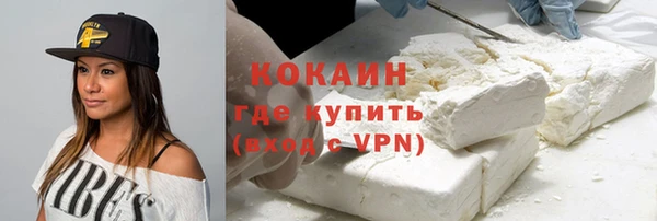 гидра Надым