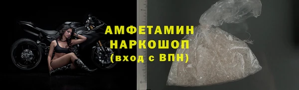 гидра Надым
