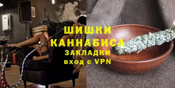 гидра Надым