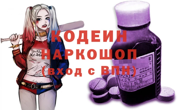 гидра Надым