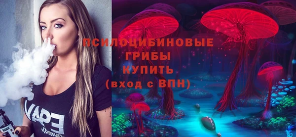 гидра Надым
