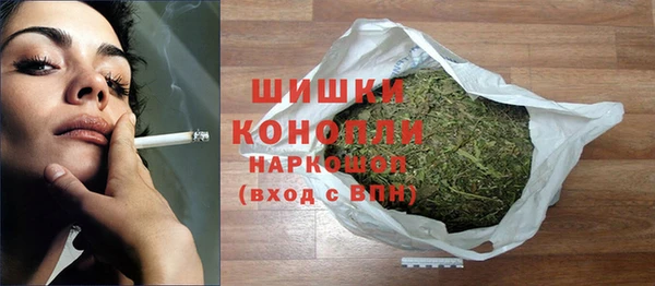 гидра Надым