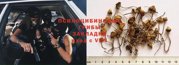 гидра Надым